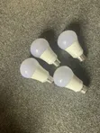 Electric White Bulb - 3