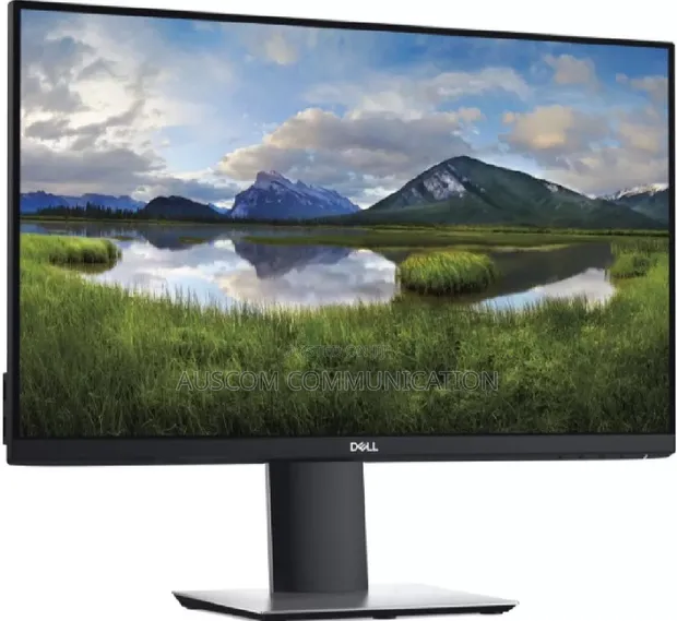Dell P2419H 24-inch IPS FHD Monitor - 1
