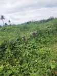 1 Plot Residential Land at Visionary Garden City Estate, Epe, Lagos - 4