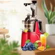 Camel Slow Juicer - Sabon Abu - 3