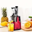 Camel Slow Juicer - Sabon Abu - 4