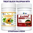 Reishi + Gynapharm Kwayoyin Tallafin Haihuwa - 2