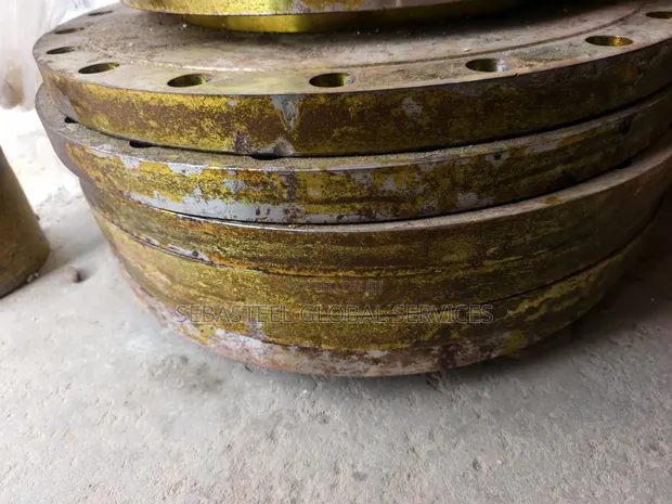 24" Class 150 Blind Flange RF - 1