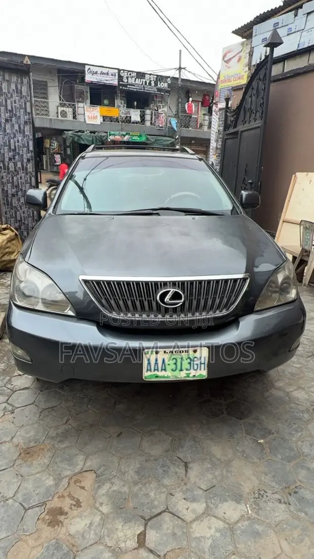 Lexus RX 350 2007 Gray - 1