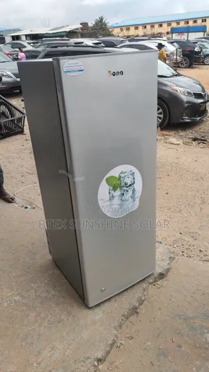 200L Freezeclime Ice Block Freezer (AC/DC)