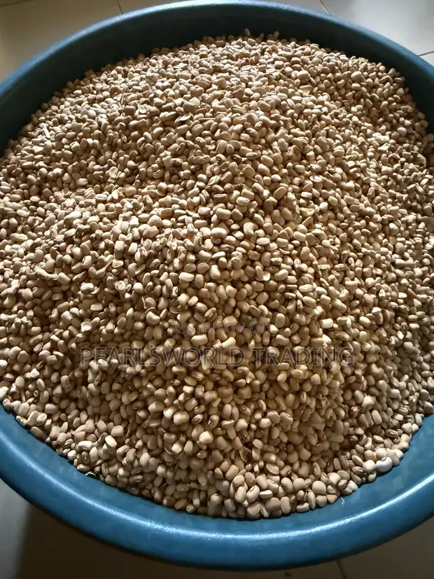 Premium Nigerian Honey Beans (Ewa Oloyin) - Stone-Free - 1