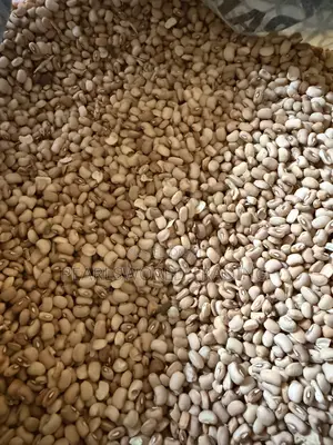 Premium Nigerian Honey Beans (Ewa Oloyin) - Babu Dutse