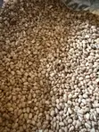 Premium Nigerian Honey Beans (Ewa Oloyin) - Stone-Free - 2