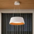 Spanish Designer Wood Grain Ceiling Pendant Lamp - 2