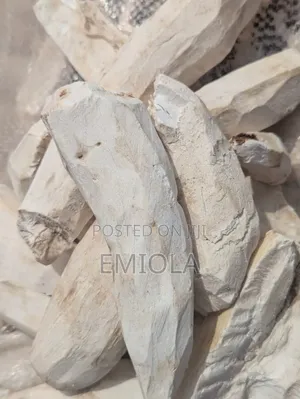 Peeled and Unpeeled Cassava Chips