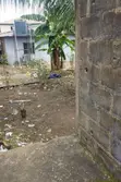 Partially Developed Property for Sale in Egbeda, Lagos - 4