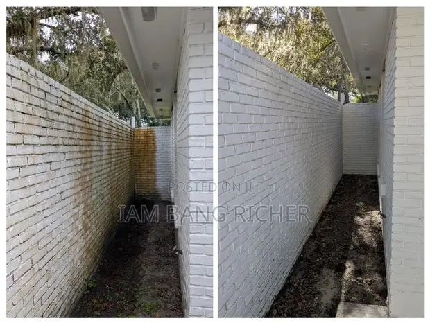 Ola's Pressure Washing & House Fumigation - 1