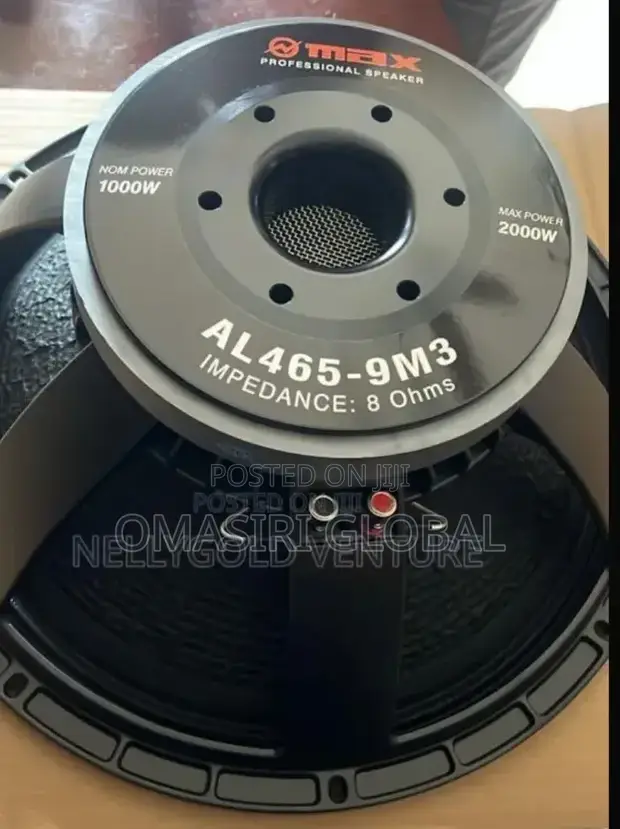 Brand New Omax 15-Inch Speaker - 1