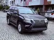 2019 Lexus GX 460 Luxury SUV - 3