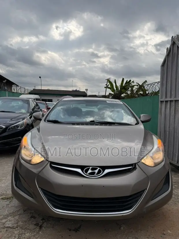 Hyundai Elantra 2010 Brown - 1