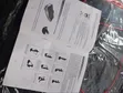Vibroaction Full Body Vibration Plate Massager - 2