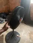 Used Ox Fan for Sale - 1