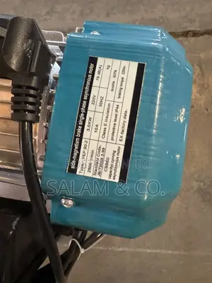 1 Ton Jirgin Lantarki | 30m Tsayin Daga | 220V