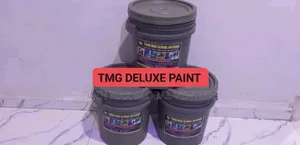 TMG Deluxe Paint & Painting Services