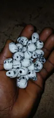 Skull Pendant - Brand New - 4