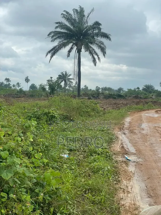 Land for Sale on Airport Road by Obirikwere - 1