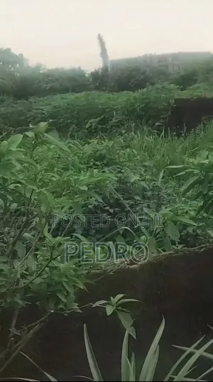 Land for Sale on Airport Road by Obirikwere