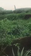 Land for Sale on Airport Road by Obirikwere - 2