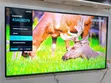 Samsung 43" CrystalUHD 4K HDR Smart TV (UK Used) - 5