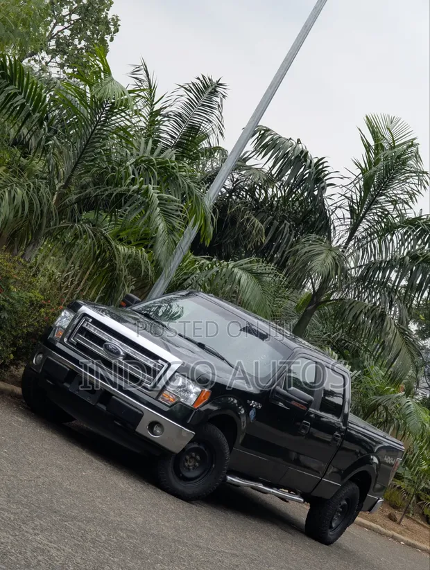 Ford F-150 Pickup Truck 2014 - 1