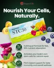 STC30, Ace Guard, Rocenta Immune Booster Combo - 4