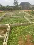 Distress Sale: Mini Flats Foundation on Half Plot, Igbogbo - 4