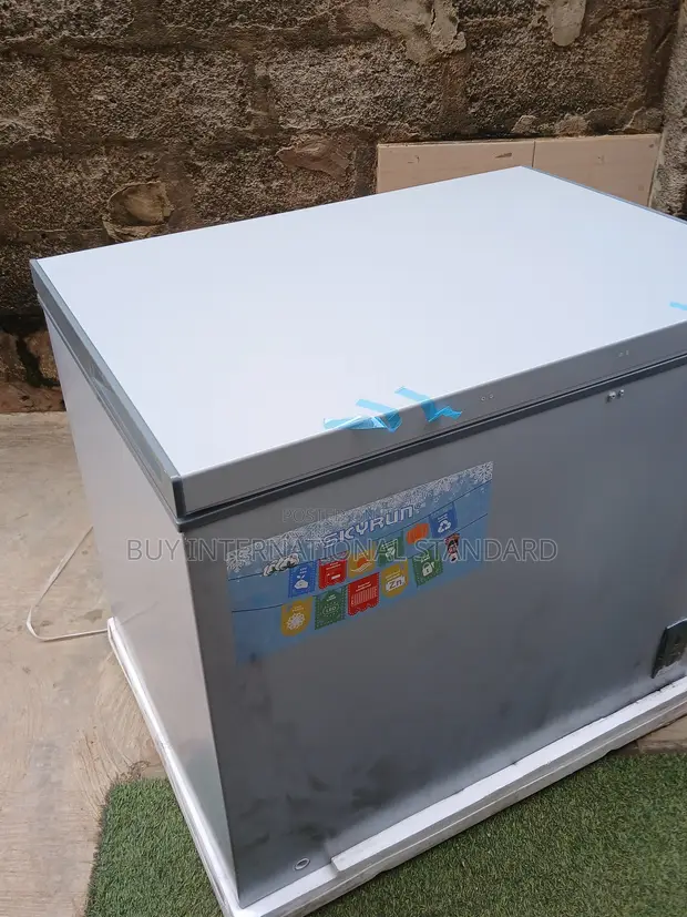Skyrun BD-260A 260L Chest Freezer for Shops & Homes - 1