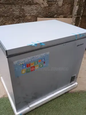 Skyrun BD-260A 260L Chest Freezer for Shops & Homes