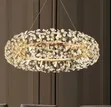 Circle Crystal Chandelier Light - 1