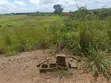 Commercial Land for Sale, Shen Du, Plateau State - 1