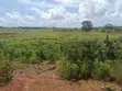 Commercial Land for Sale, Shen Du, Plateau State - 2
