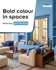 Dulux Spruce Emulsion Paint (Steeze White), 20L - 2