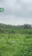 600sqm Mixed-use Land for Sale in Ikorodu - 2
