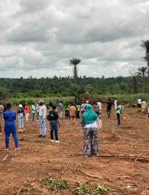 Aviation City: Affordable Land Investment Opportunity