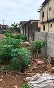 Standard Residential Plot, 5th Avenue Behind Abesan - 2