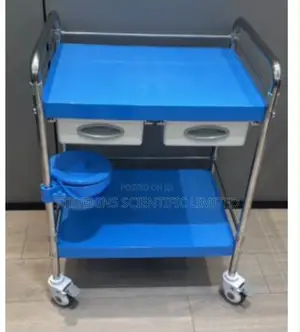 2-Tier Instrument Trolley with Double Drawer