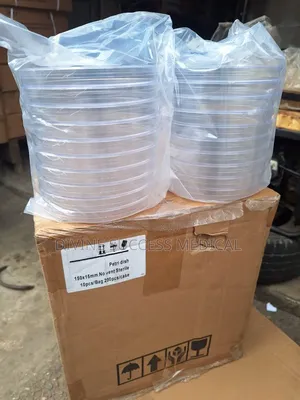 150mm Petri Dish - Large Size