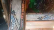 Super Flex Drywall Sander Machine 1500W Asali - 2
