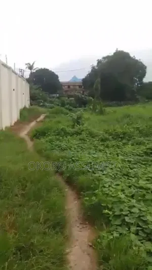 Prime Development Land for Joint Venture or Sale in Effurun, Delta State