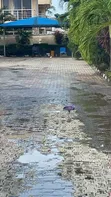 Concrete Floor Washing & Interlocking Cleaning - 4