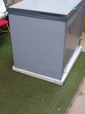 Skyrun BD-260A Large Freezing Cabinet – 260 Litres