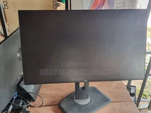 Dell P2422H 24-inch Full HD Monitor