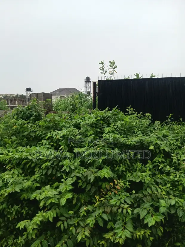 Certificate of Occupancy Residential Plot in Jahi - 1