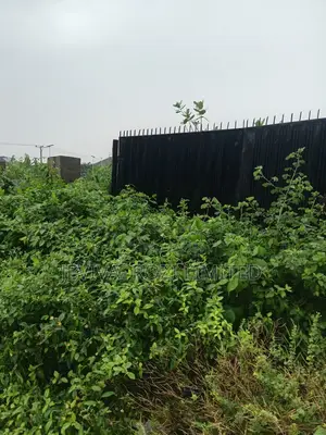 Certificate of Occupancy Residential Plot in Jahi