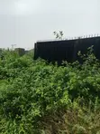 Certificate of Occupancy Residential Plot in Jahi - 4